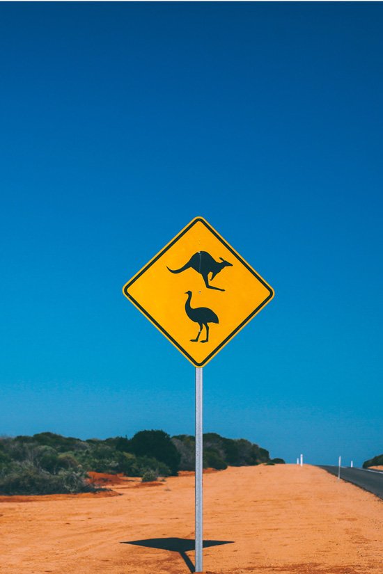 kangaroo sign